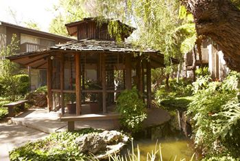 A small wooden pavilion with a tiled roof is surrounded by greenery.